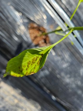 그린님의 자유주제 · 자유게시판 작성글 사진