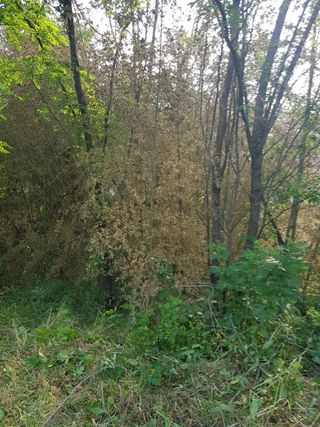 김경희님의 자유주제 · 자유게시판 작성글 사진