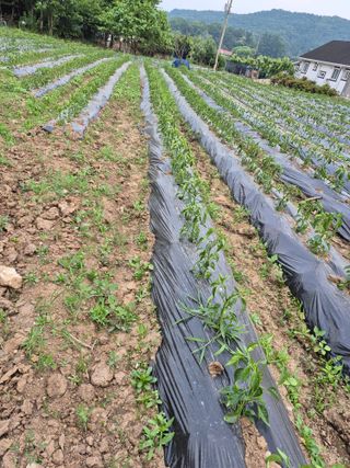 이정민님의 자유주제 · 자유게시판 작성글 사진