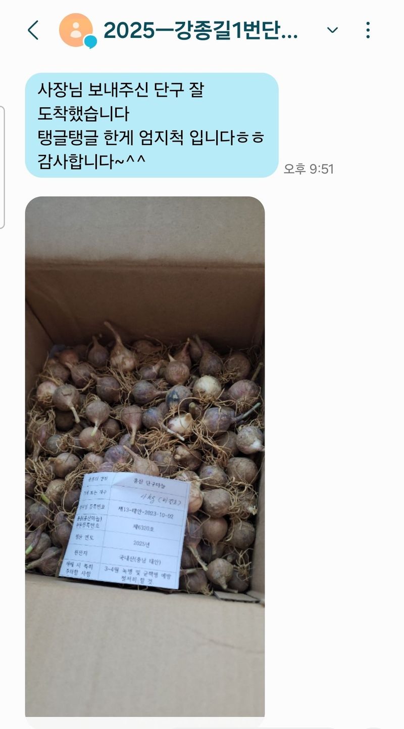 조한솔님의 장터 판매 상품 [2025 홍산 단구 씨마늘 1kg] 첨부 사진