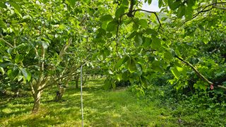 늘푸른농장님의 자유주제 · 자유게시판 작성글 사진