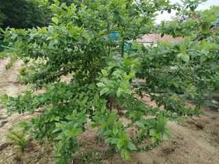 윤여묵님의 자유주제 · 자유게시판 작성글 사진