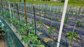 정금기님의 자유주제 · 자유게시판 작성글 사진