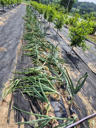 전홍열님의 자유주제 · 건의해요 작성글 사진