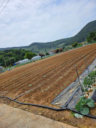 인간문화재님의 자유주제 · 자유게시판 작성글 사진