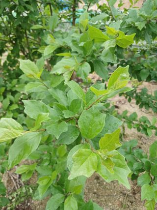 윤여묵님의 자유주제 · 자유게시판 작성글 사진