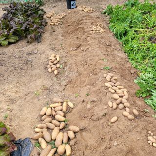 이창화님의 자유주제 · 자유게시판 작성글 사진