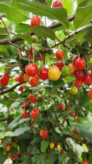 한재골님의 자유주제 · 자유게시판 작성글 사진