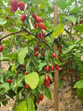 자연인님의 자유주제 · 자유게시판 작성글 사진