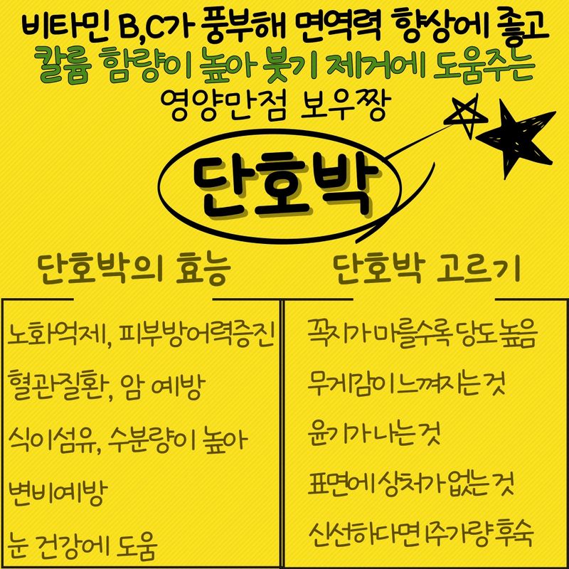 제주빅팜님의 장터 판매 상품 [제주 보우짱품종 단호박, 밤호박] 첨부 사진