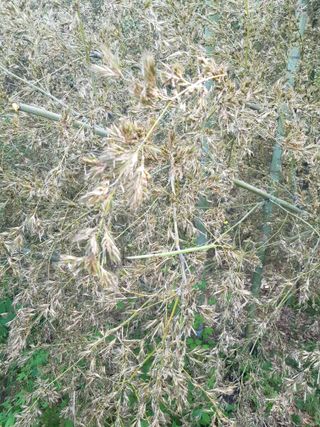 김경희님의 자유주제 · 자유게시판 작성글 사진