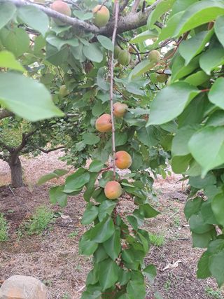 자연인님의 자유주제 · 자유게시판 작성글 사진