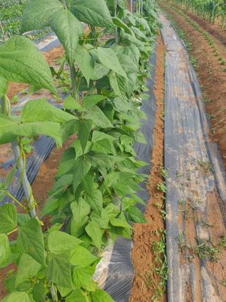 주옥님의 자유주제 · 자유게시판 작성글 사진