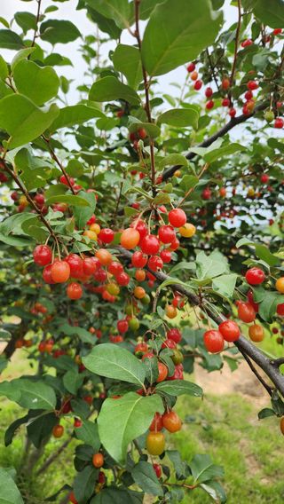 한재골님의 자유주제 · 자유게시판 작성글 사진