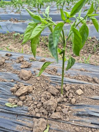 이정민님의 자유주제 · 자유게시판 작성글 사진