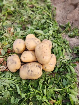 동자개님의 자유주제 · 자유게시판 작성글 사진