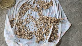 조운님의 자유주제 · 자유게시판 작성글 사진