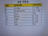 팜모닝 자유주제·자유게시판 게시글 이미지