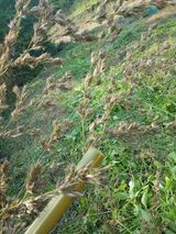 팜모닝 자유주제·자유게시판 게시글 이미지