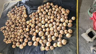 조운님의 자유주제 · 자유게시판 작성글 사진