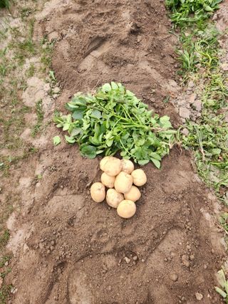동자개님의 자유주제 · 자유게시판 작성글 사진