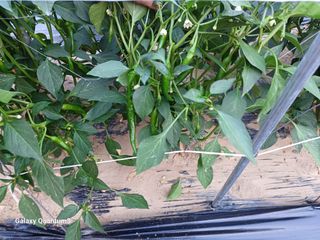 이창우님의 자유주제 · 자유게시판 작성글 사진