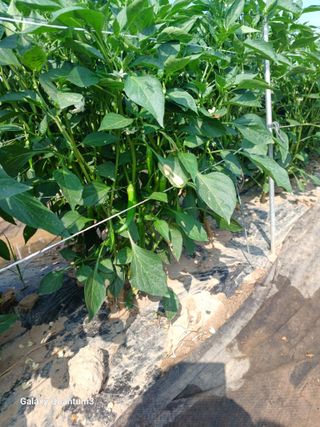 이창우님의 자유주제 · 자유게시판 작성글 사진