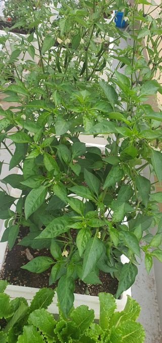 오늘도행복님의 자유주제 · 자유게시판 작성글 사진