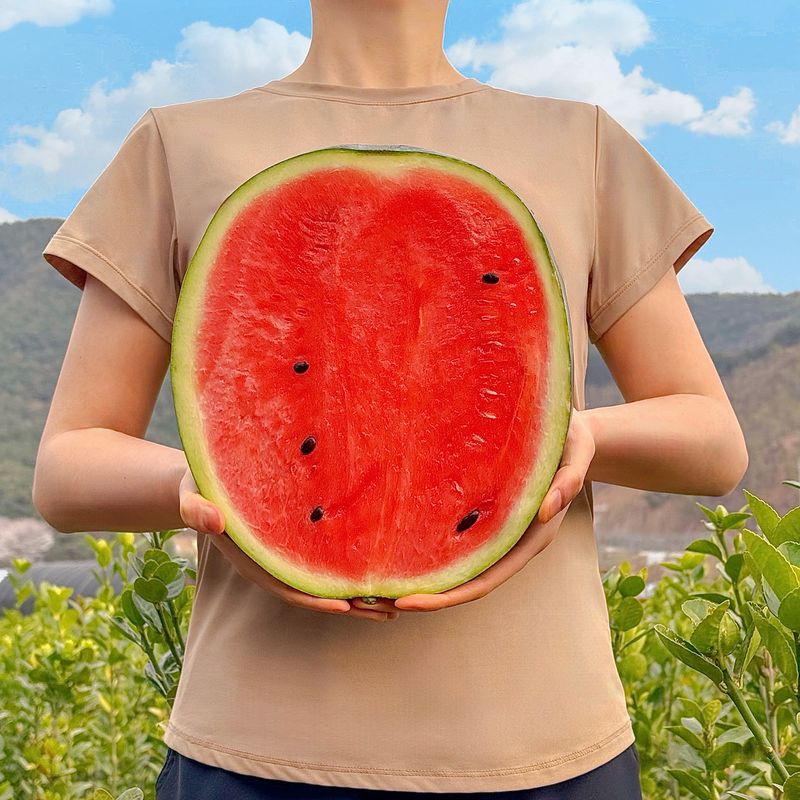 농부손녀님의 장터 판매 상품 [고당도 달콤한 맛 꿀수박 (무료배송)] 첨부 사진