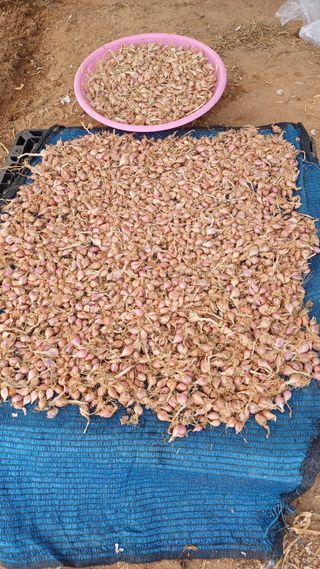 박순덕님의 자유주제 · 자유게시판 작성글 사진