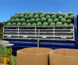 농부손녀님의 작성글 사진