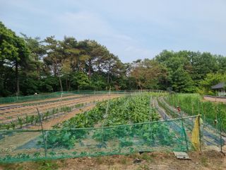 윤봉우님의 자유주제 · 자유게시판 작성글 사진