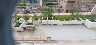 오늘도행복님의 자유주제 · 자유게시판 작성글 사진