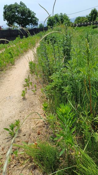 박순덕님의 자유주제 · 자유게시판 작성글 사진