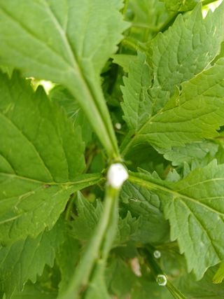 인생은 소풍처럼님의 자유주제 · 자유게시판 작성글 사진