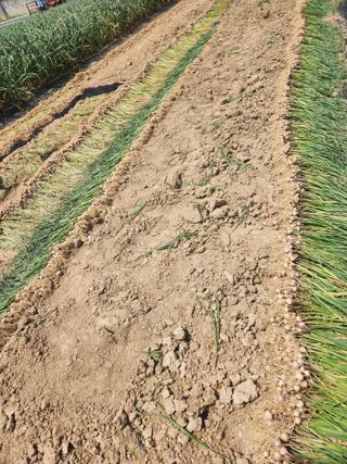 갑돌이님의 자유주제 · 자유게시판 작성글 사진