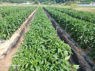 이창우님의 자유주제 · 자유게시판 작성글 사진