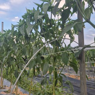 박흠님의 자유주제 · 자유게시판 작성글 사진