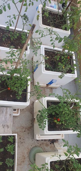 오늘도행복님의 자유주제 · 자유게시판 작성글 사진