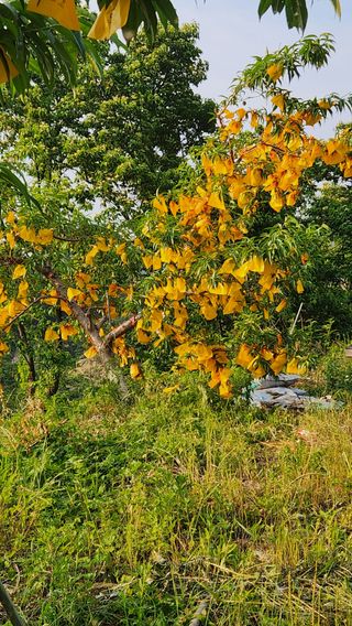 사과6329님의 자유주제 · 자유게시판 작성글 사진