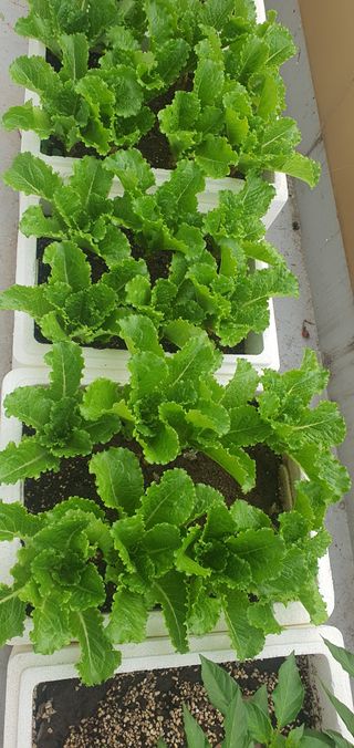 오늘도행복님의 자유주제 · 자유게시판 작성글 사진