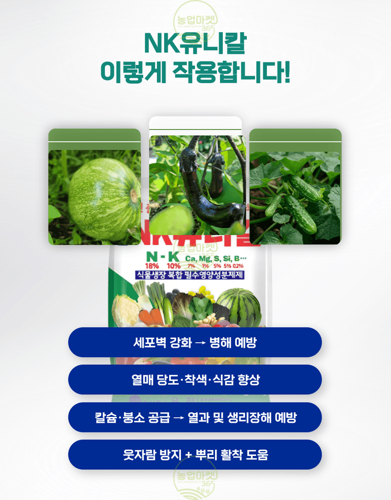 농업마켓365님의 장터 판매 상품 [농업마켓365 융전 nk유니칼 입제 1kg 유니칼슘비료 기비 추비 밑거름 웃거름 텃밭 주말농장] 첨부 사진