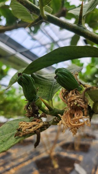 정미리님의 자유주제 · 자유게시판 작성글 사진