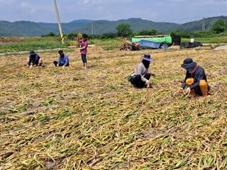 대결농원님의 자유주제 · 자유게시판 작성글 사진
