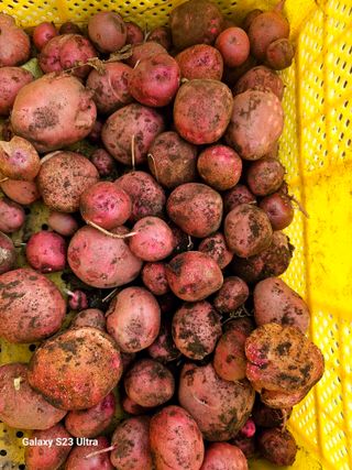 공주유구 구계박만호님의 자유주제 · 자유게시판 작성글 사진