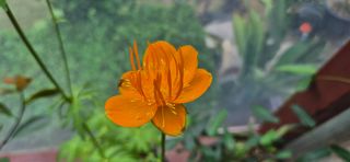 달맛햇복숭아농원님의 자유주제 · 사진전 작성글 사진