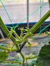 팜모닝 자유주제·사진전 게시글 이미지