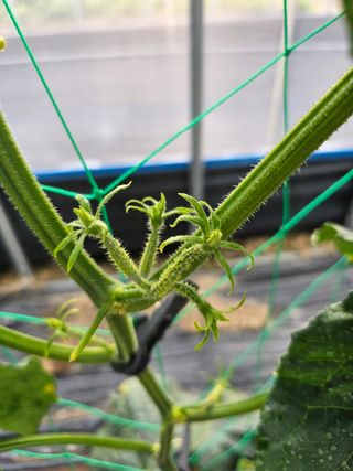 김두영님의 자유주제 · 사진전 작성글 사진