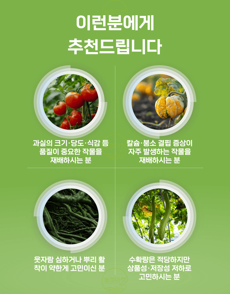 농업마켓365님의 장터 판매 상품 [농업마켓365 융전 nk유니칼 입제 1kg 유니칼슘비료 기비 추비 밑거름 웃거름 텃밭 주말농장] 첨부 사진