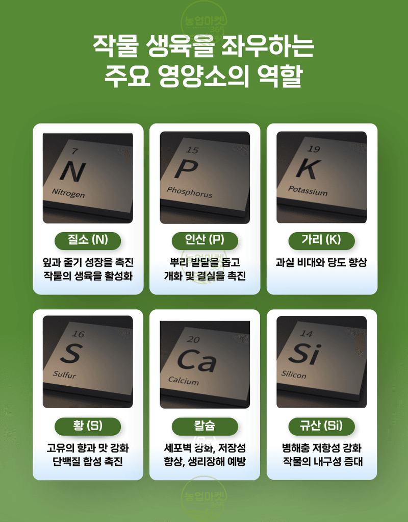 농업마켓365님의 장터 판매 상품 [농업마켓365 융전 nk유니칼 입제 1kg 유니칼슘비료 기비 추비 밑거름 웃거름 텃밭 주말농장] 첨부 사진